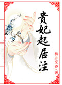 贵妃起居注txt 百度云